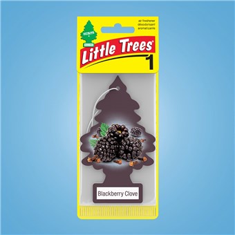 Tree Air Freshener - Blackberry Clove (24 CT)