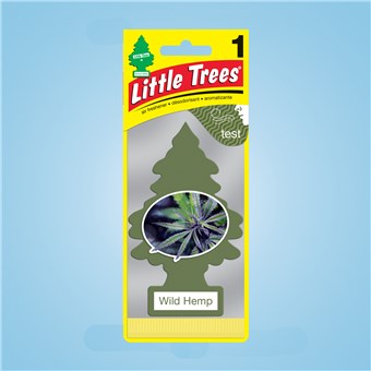 Tree Air Freshener - Wild Hemp (24 CT)