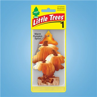 Tree Air Freshener - Warm Pumpkin Spice (24 CT)