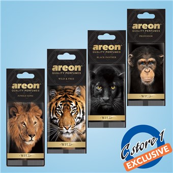 Air Freshener Assortment - Wild (24 CT)