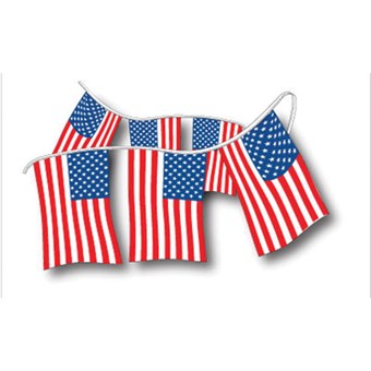 Patriotic Poly Pennants