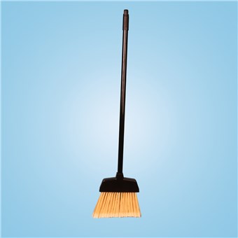 Dust Pan Broom